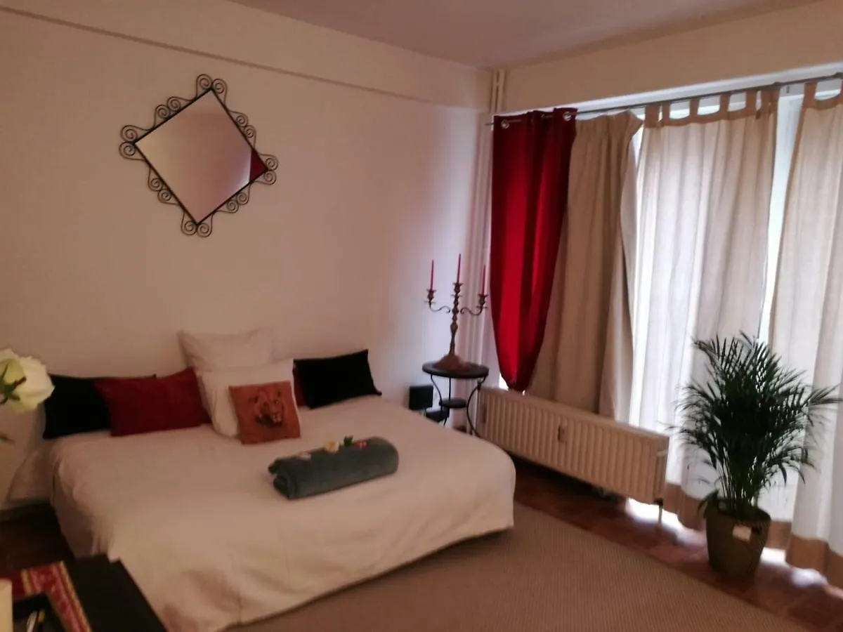 Charlottalei 33. Flat-Studio. Stadspark Amberes Bélgica
