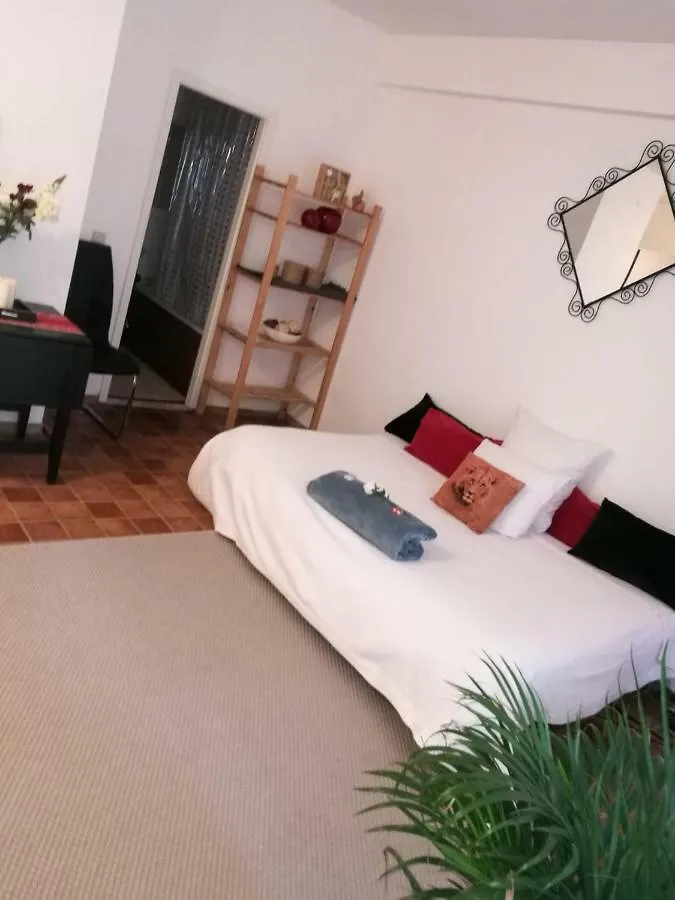 Charlottalei 33. Flat-Studio. Stadspark Amberes